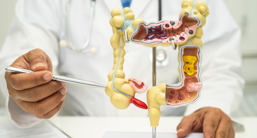 Liver and digestive health: Understanding the gut-liver axis