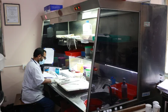 laboratory services