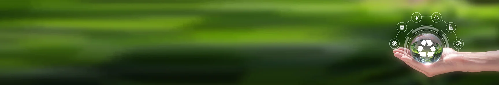 other banner