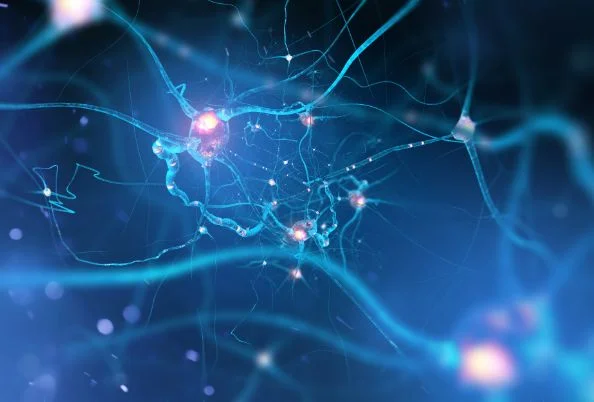 neurology